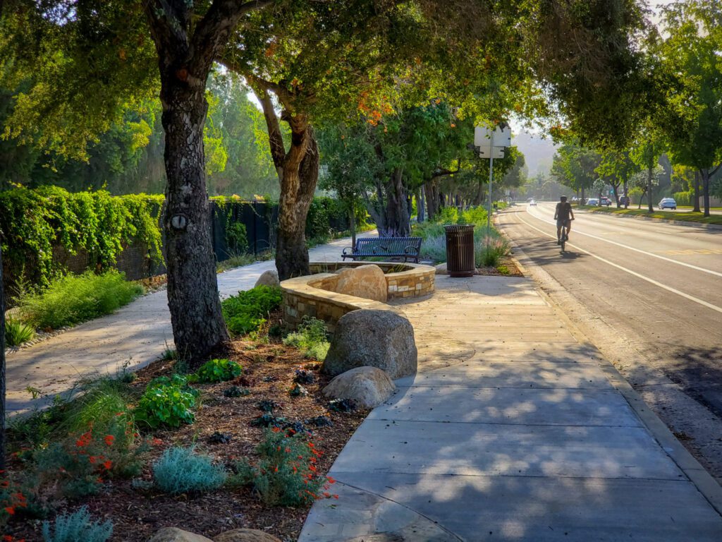 A sunlit park path surrounded by trees and greenery.
