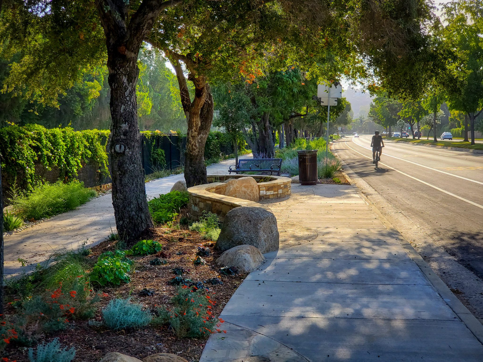 A sunlit park path surrounded by trees and greenery.