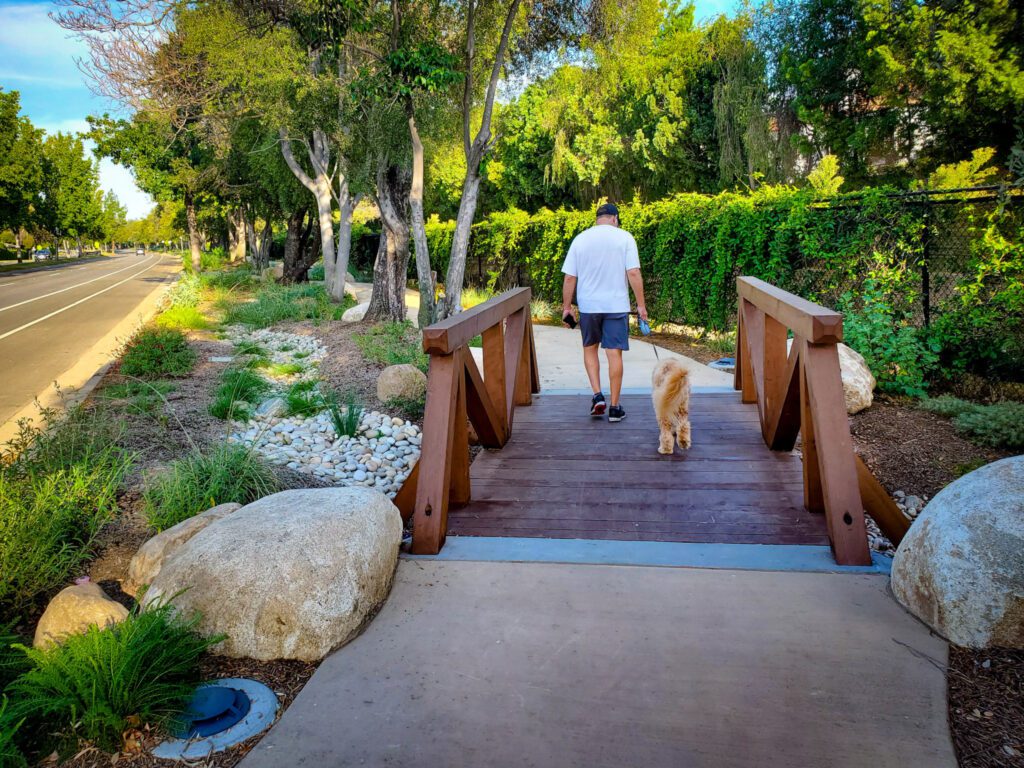 Man walking a small dog across a wooden bridge in a park.