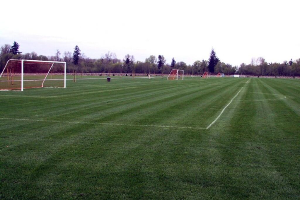 A serene garden path winds beside a small pond surrounded by lush greenery.