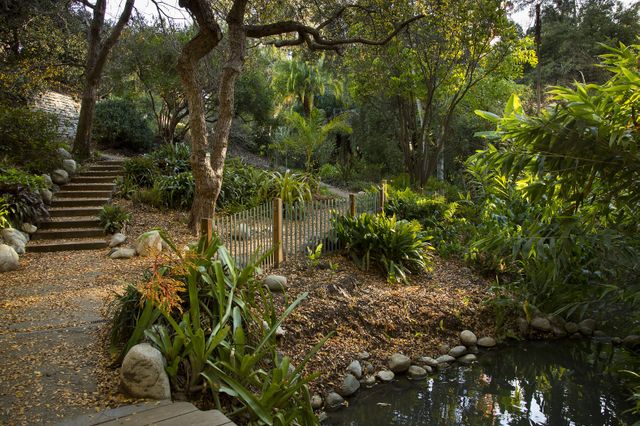 A serene garden with a small pond and lush greenery.