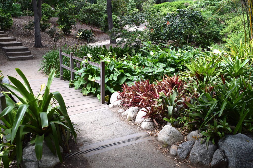 A peaceful garden path with lush greenery and colorful plants.
