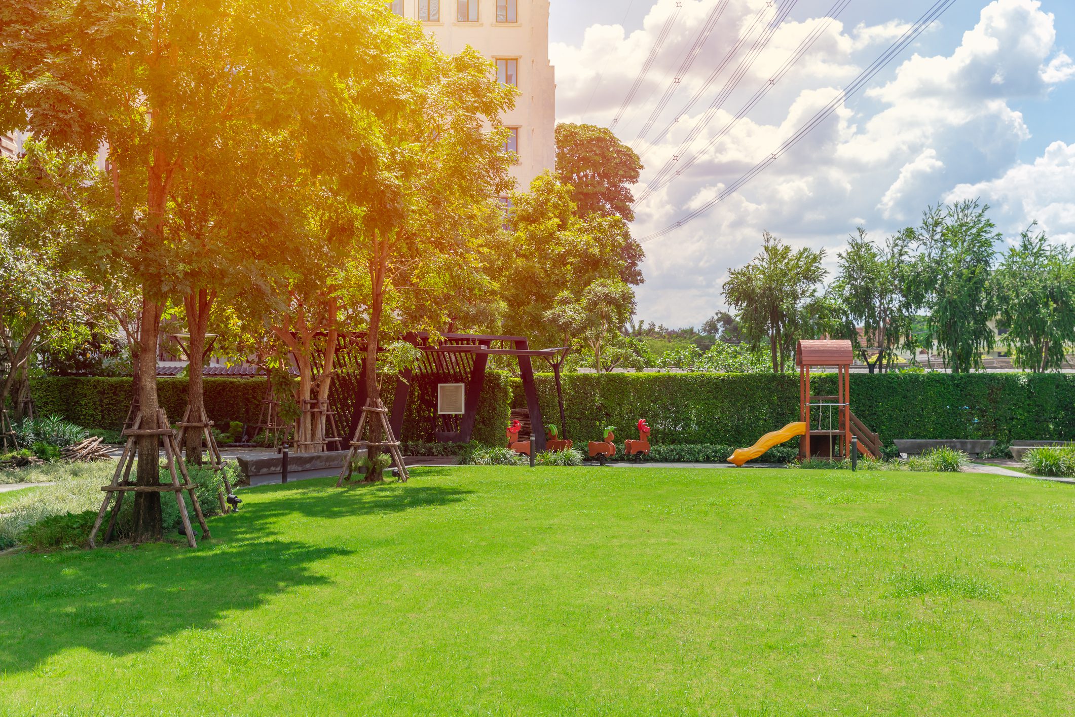 Sunny playground with slide and trees