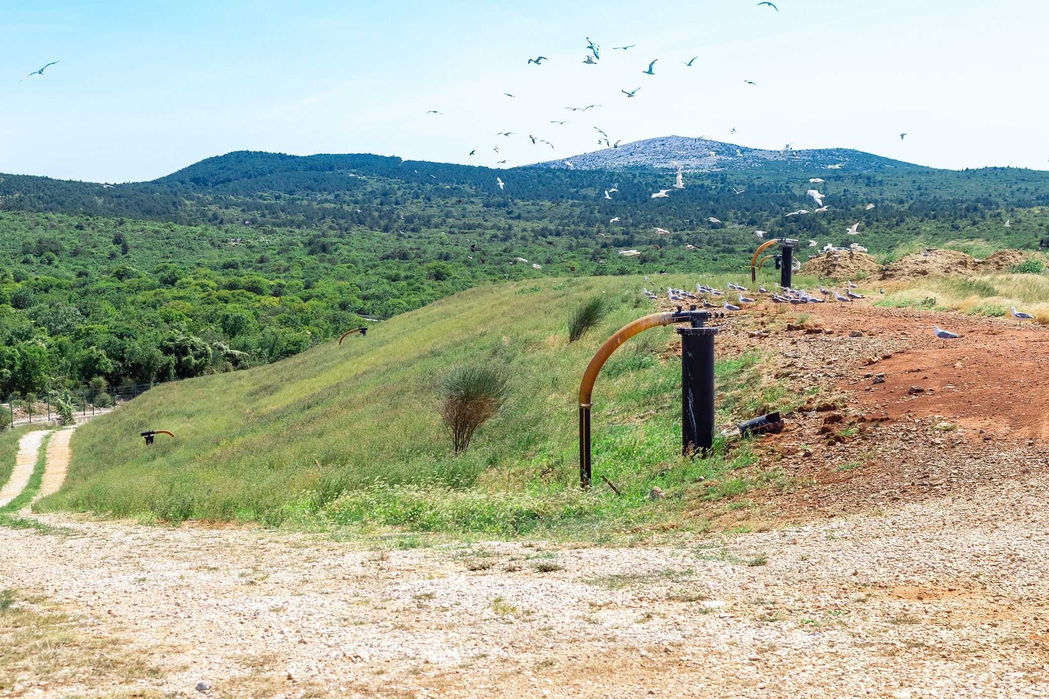 Green landscape with pipes and distant hills.