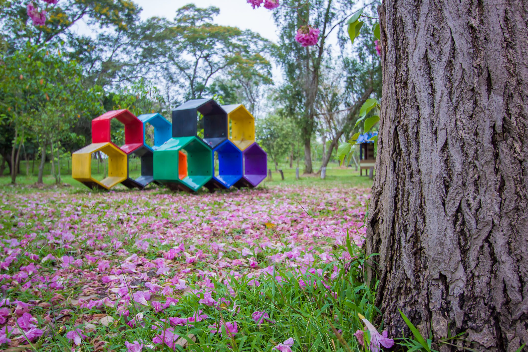 Tree trunk with pink flowers on grass
