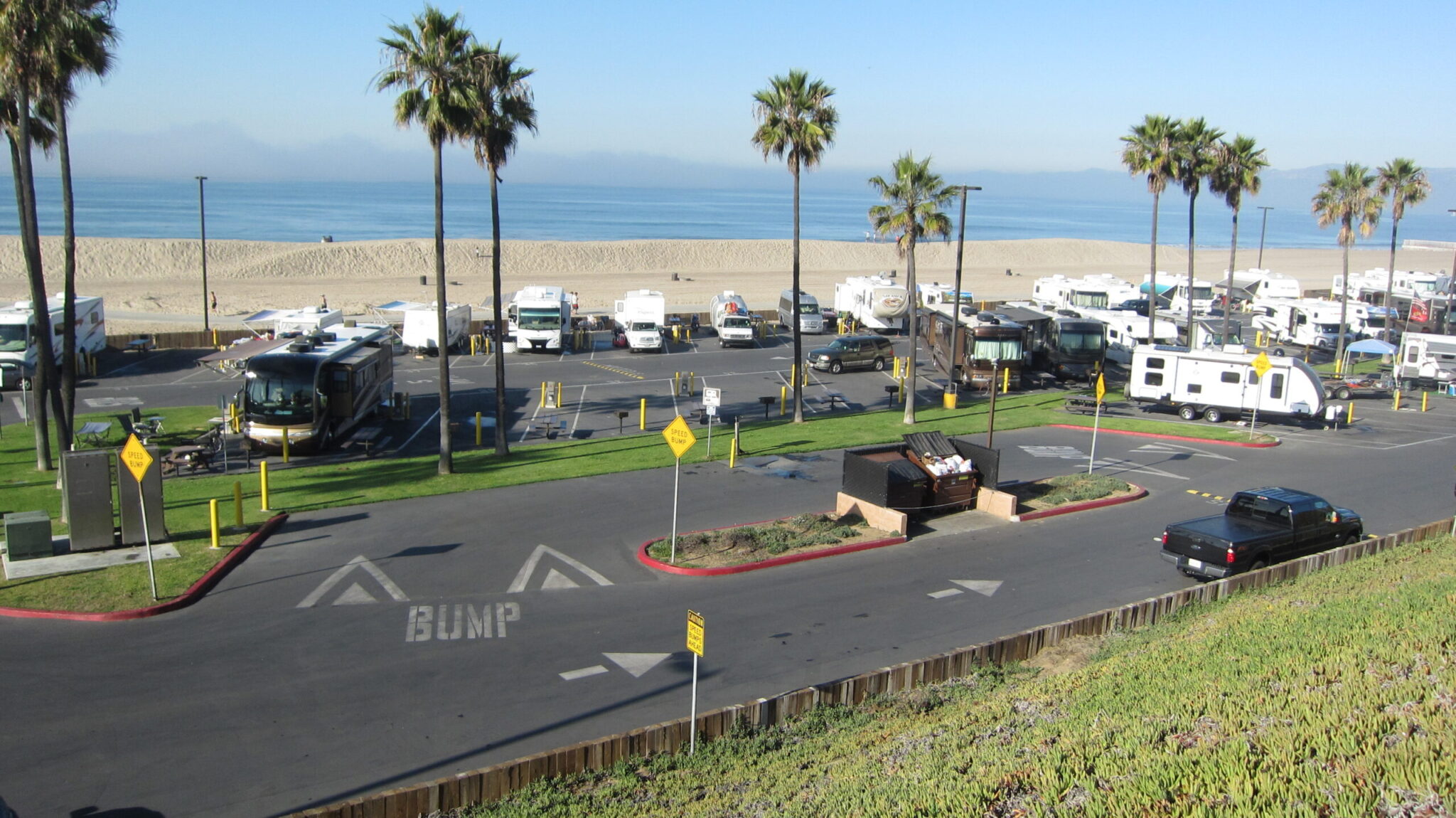 Coastal road with palm trees beside the beach under a clear sky.