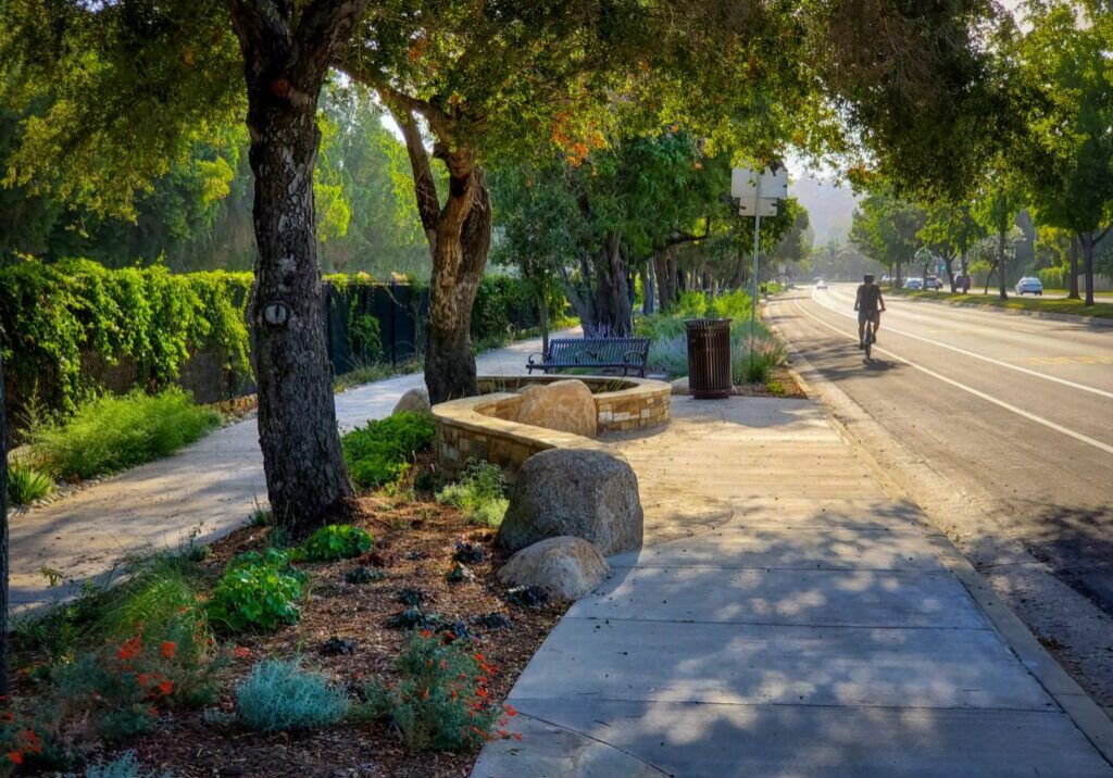 A sunlit park path surrounded by trees and greenery.
