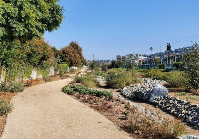 A sunny park pathway with greenery and rocks under a clear blue sky.