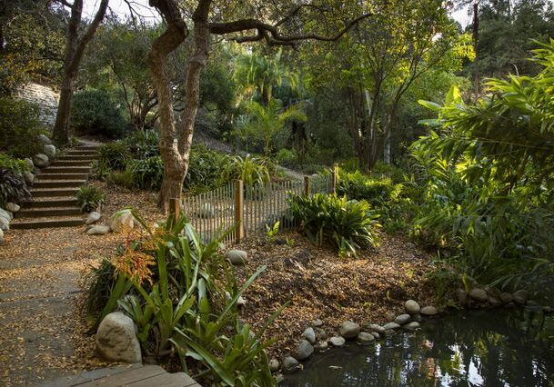 A serene garden with a small pond and lush greenery.